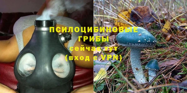 mdpv Белокуриха
