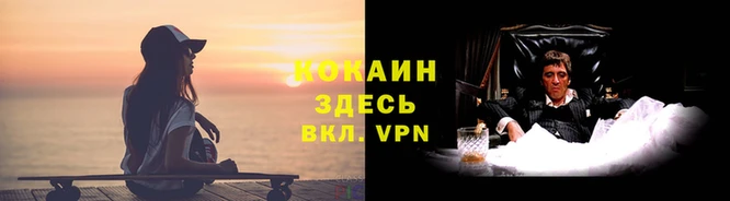 mdpv Белокуриха