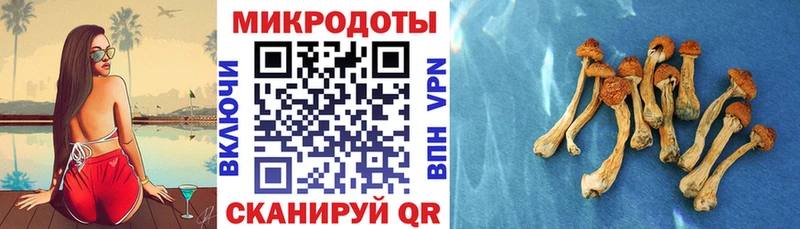 Галлюциногенные грибы мицелий  Беломорск 